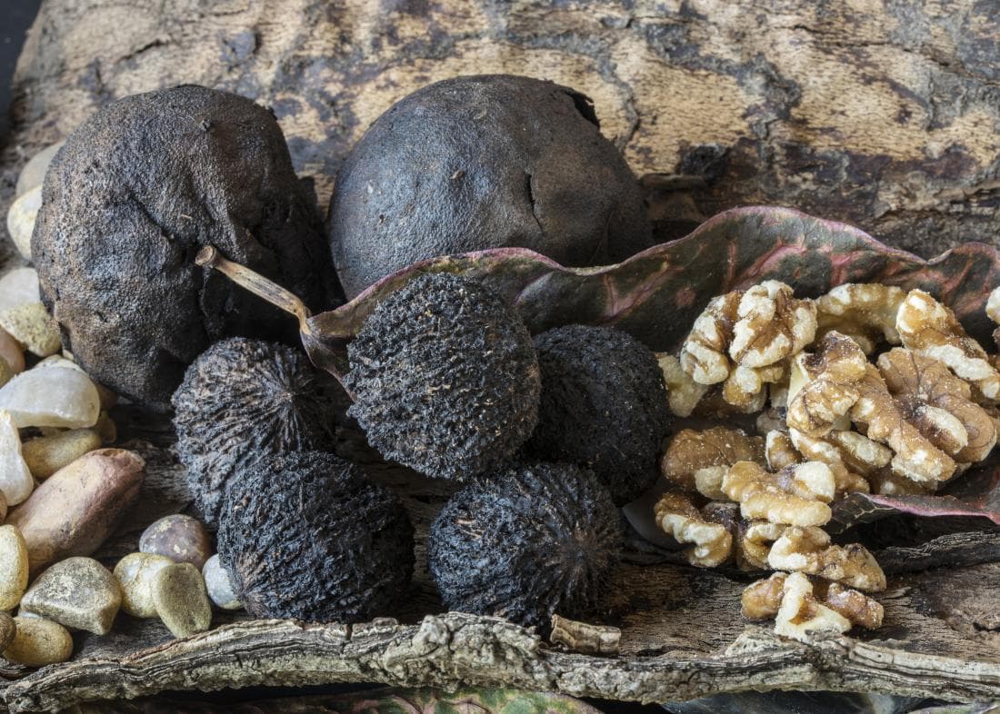 Black Walnuts
